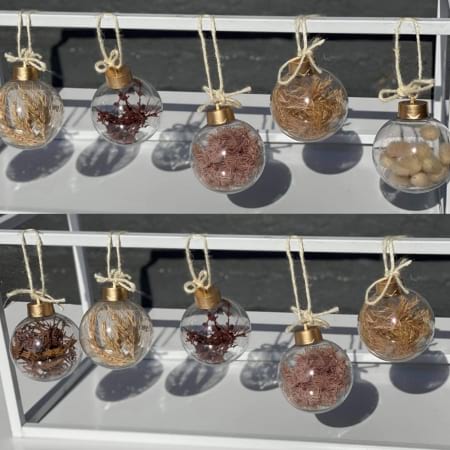 Natural Preserved Baubles 